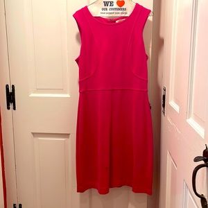 Banana Republic bright pink sleeveless sheath dress. Size 10